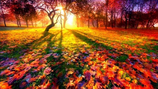 2023-10-29 Детский хор смотреть онлайн