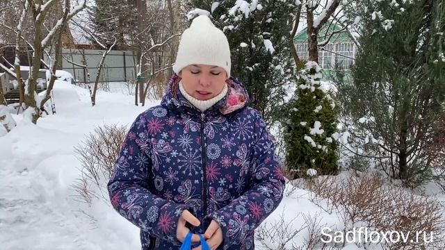 Как хранить растения, купленные зимой? Мой проверенный способ. смотреть онлайн