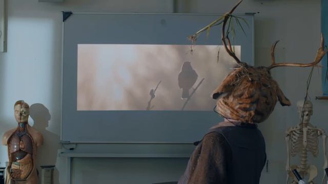RUNDFUNK AFL03.01 BIO PERFORMANCE смотреть онлайн