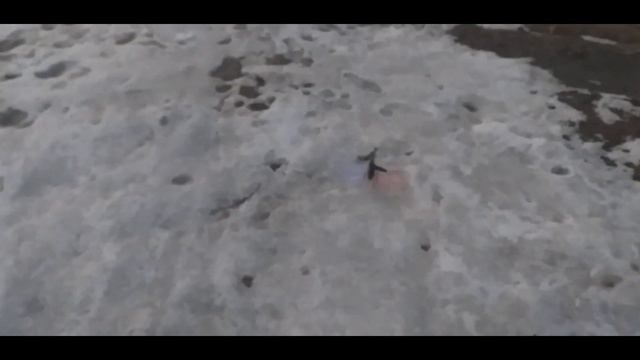 Видео "Вертолет на радиоуправлении Silverlit Sky Dragon" смотреть онлайн