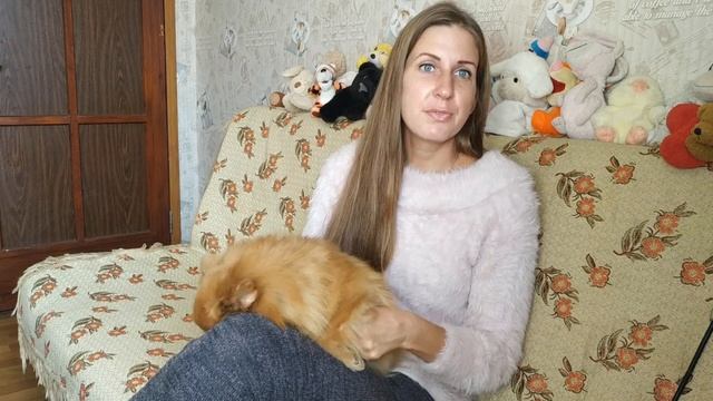 Как защитить собаку от клещей ? смотреть онлайн