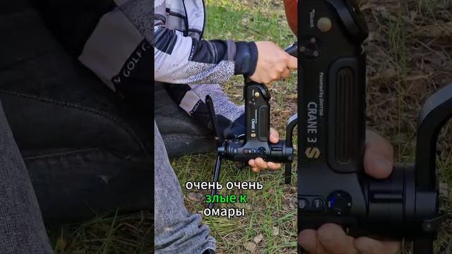 #KingKong.. и при чем тут комары? 😆 #GWM #Poer #car #poerkingkong #пикап #truck #приколы #DVEN