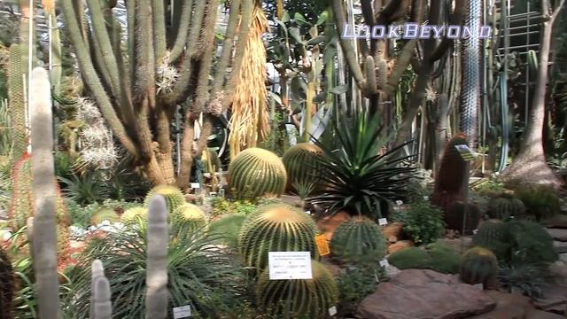 Botanischer Garten München. Ботанический сад Мюнхен. смотреть онлайн
