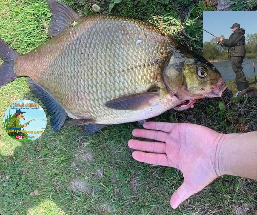 Ранняя рыбалка на ЛЕЩА! Река ИЖ (18 мая 2024г ) смотреть онлайн