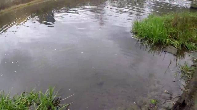 Рыбалка в Тушино-китайский ультралайт Kaida Finesse смотреть онлайн