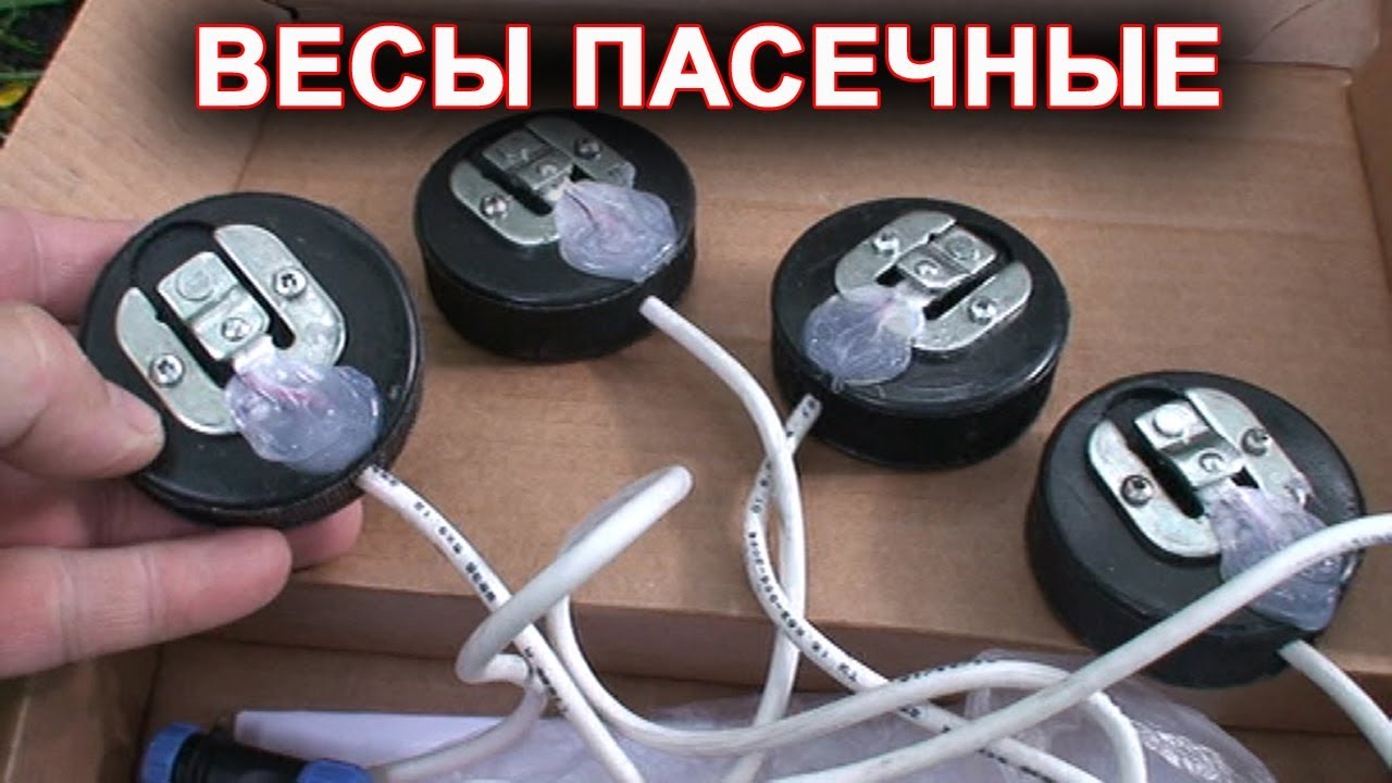 Весы пасечные MultiScale (Базовый комплект). установка под улей.mp4