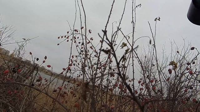 Фотопрогулка с Sony a6000+55-210 смотреть онлайн