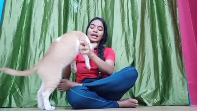 kora || part -1 // cute cat 🐈 смотреть онлайн