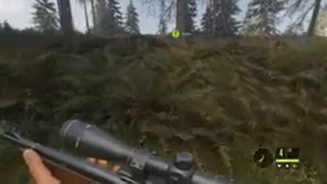 theHunter call of the wild #10 ? - Теория заговора - Озерный край Лейтон - Прохождение смотреть онлайн
