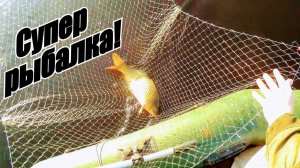 Рыбалка на паук! В поисках дикого Сибирского сазана! Рыбалка 2021! Рыбалка на сазана!