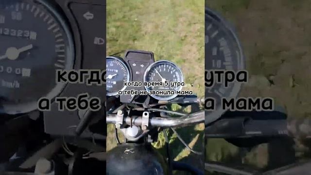 люблю такие моменты #альфа #мотик #мотоцикл #рек #рекомендации смотреть онлайн