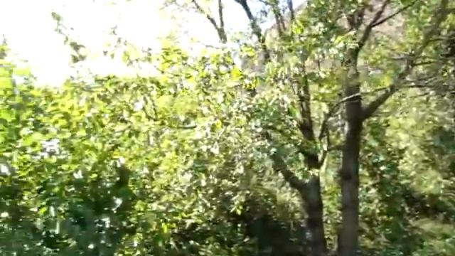 Днестр возле крепости в Хотине