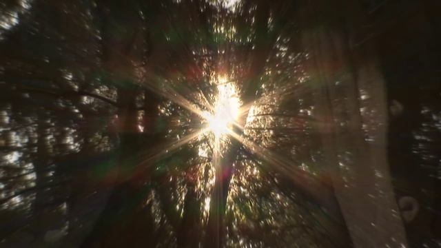 HeroSida Abwun The Cosmic Healing Love Prayer смотреть онлайн