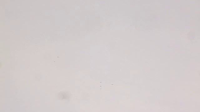 черен смотреть онлайн