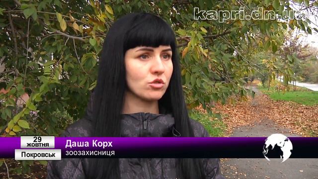 У Покровську та Мирнограді невідомі жорстоко вбивають тварин смотреть онлайн