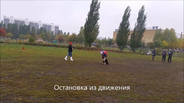 01.10.16 обидиенс 1 Набережные челны смотреть онлайн