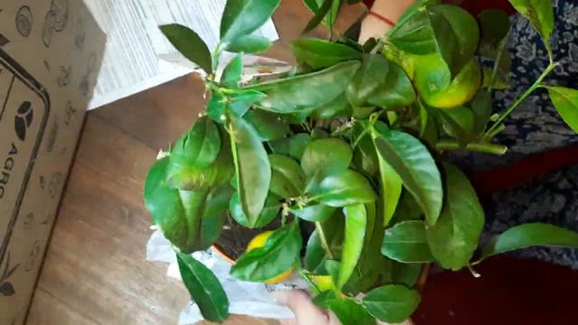 Отзыв Агромаркет смотреть онлайн