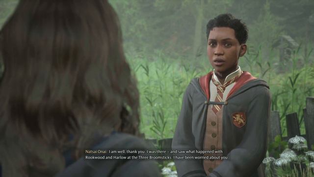 Hogwarts Legacy || Meeting Up with Natty смотреть онлайн