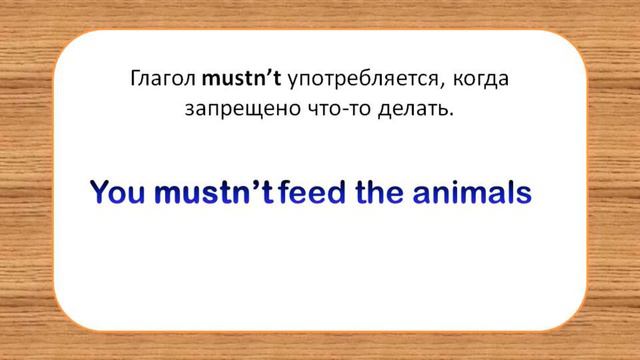 #SPOTLIGHT 4. Module 4. Lesson 8b. Wild About Animals! Модальный глагол MUST.