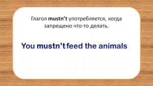 #SPOTLIGHT 4. Module 4. Lesson 8b. Wild about animals! Модальный глагол MUST.
