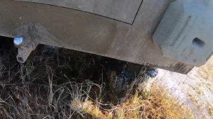 Каракат по болоту