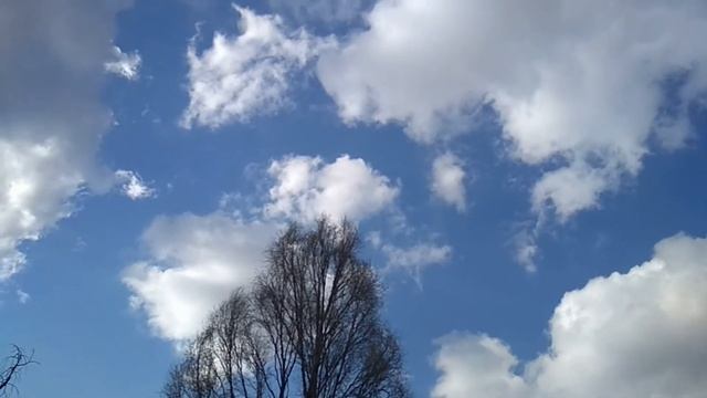 Голубое весеннее небо. Красота рядом. //Blue spring sky. Beauty is nearby.// смотреть онлайн