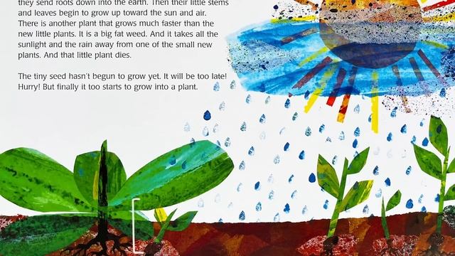 The Tiny Seed – A read aloud Eric Carle book with music in HD fullscreen смотреть онлайн