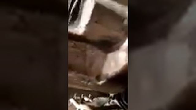 Ремонт багажника W208 Clk