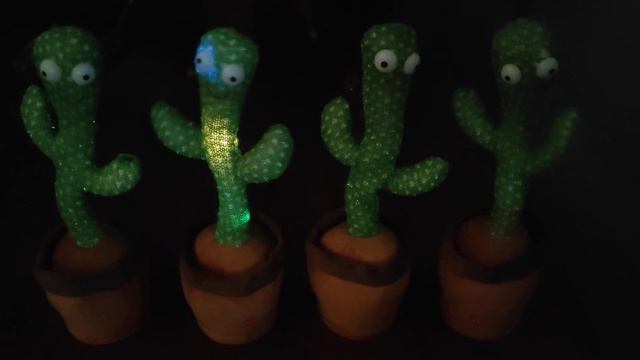 Танцующий кактус