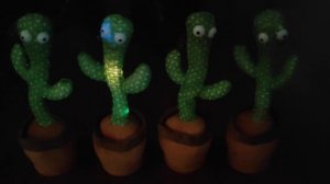 Танцующий кактус