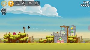 Играем в  Энгри бердс