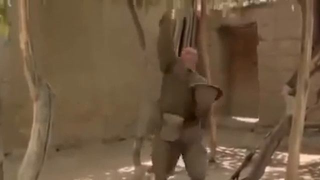 Звезда солдата смотреть онлайн в хорошем качестве. смотреть онлайн