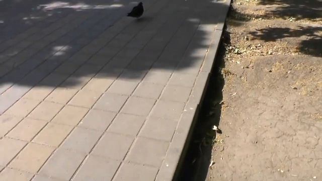 Ляпы с Линами///Челлендж левой рукой смотреть онлайн