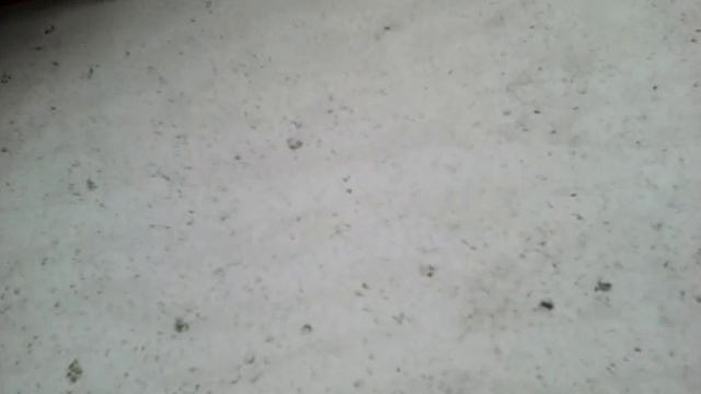 косяки АЭРОБЕЛа 2