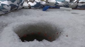 Рыбалка на течении, шарик, дергуша или покаток