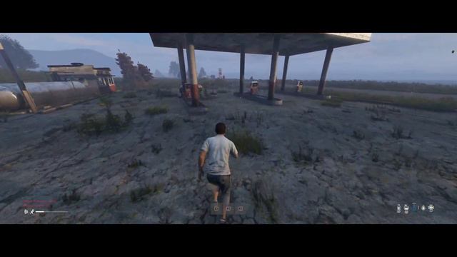 Dayz PW тест стрим смотреть онлайн