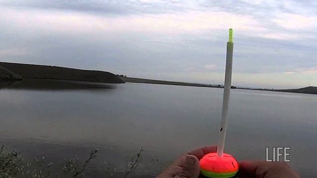 Как ловить толстолобика? смотреть онлайн