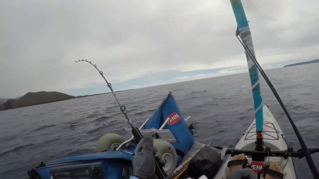 Maui Blue Ranger- kayak fishing Makena Hobie AI 2019 смотреть онлайн
