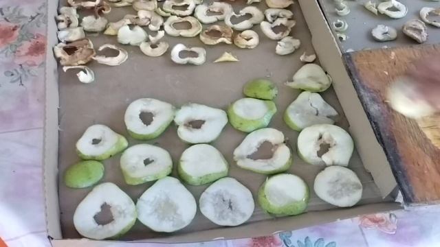 Рецепты для особых случаев 