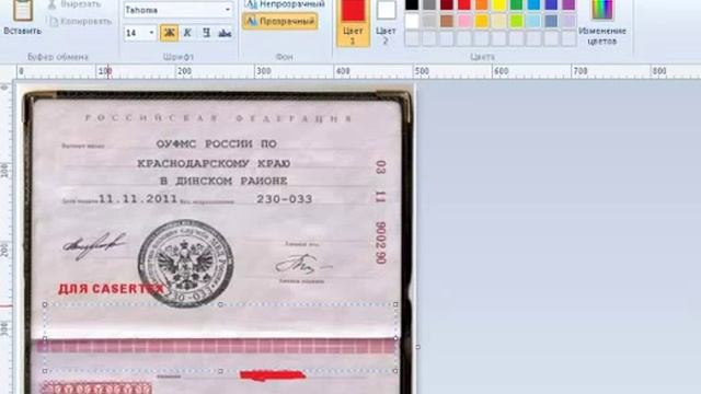 Документы РФ: паспорта и права