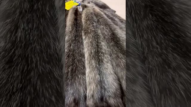 Купить шкурки соболя от 6 тясяч рублей. На видео топовый соболь за 50 тысяч рублей смотреть онлайн