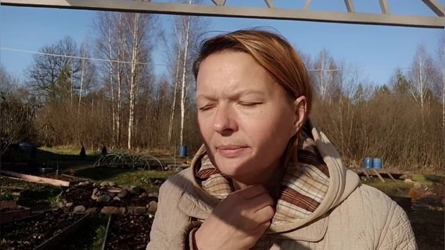 Осень – время грустных мыслей...? Посадки, обработки, спасаюсь от мышей и так по мелочи.? смотреть онлайн