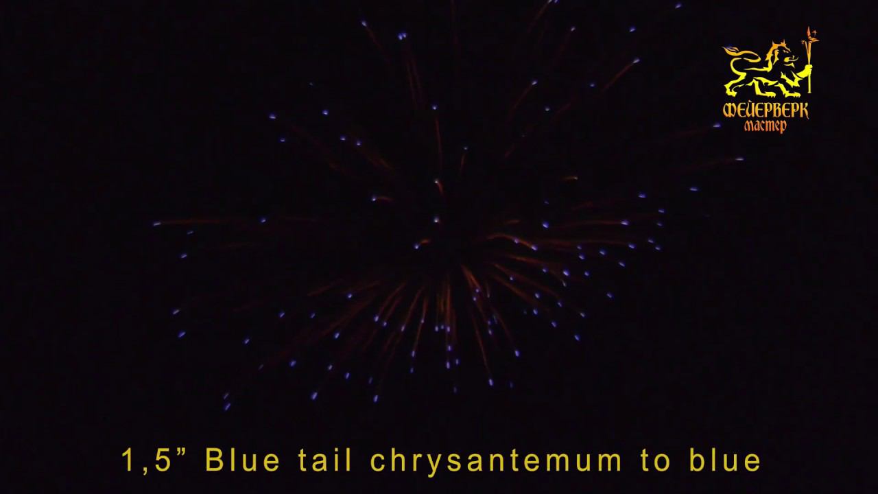 FM502 Одиночный салют 1,5"(Blue tail chrysanthemum to blue) смотреть онлайн