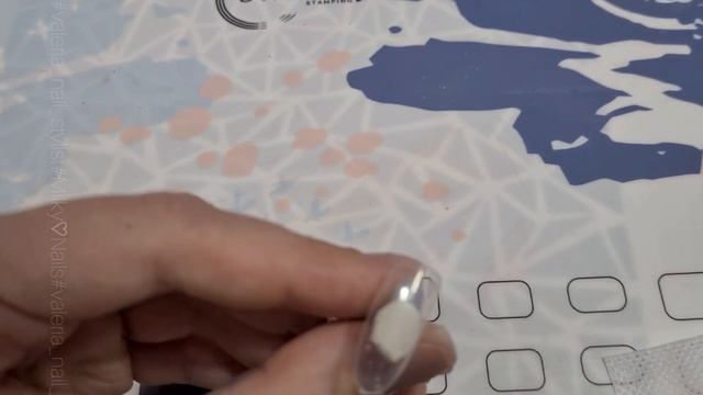 Новинки Swanky Stamping и дизайны с пластиной 113?