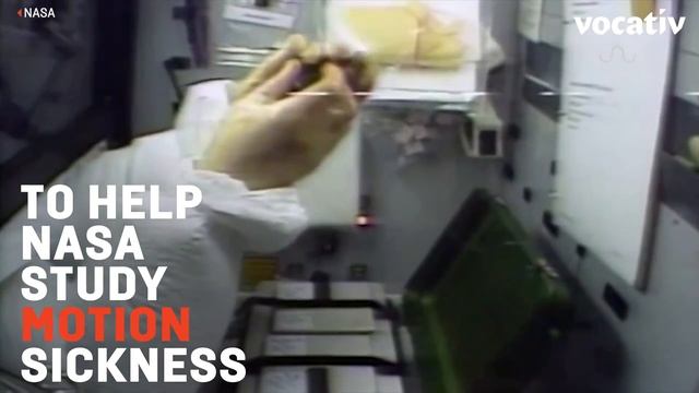 A Brief History of Animal Space Travel смотреть онлайн