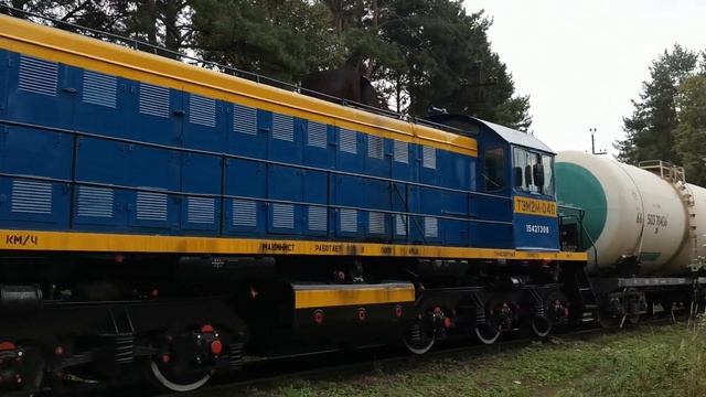ТЭ114-0067, ТЭМ2М-048 Манёвры в ООО "Первый завод". смотреть онлайн