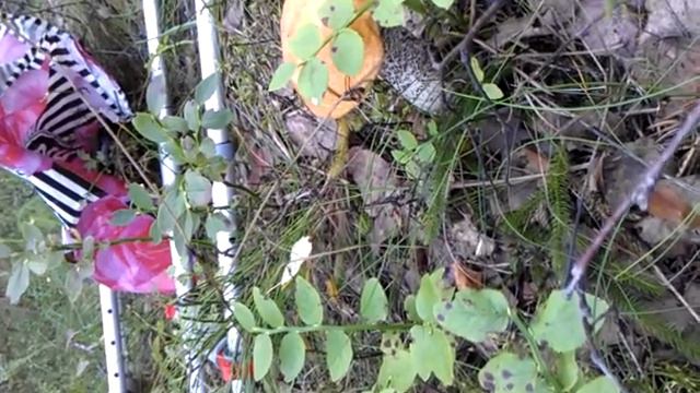 Сердце сжимает. смотреть онлайн