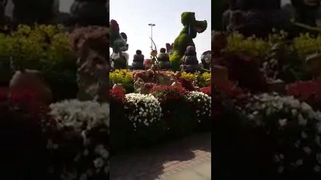 ZABEEL PARK BEAUTY IN DUBAI смотреть онлайн