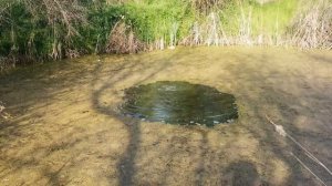 Корсар 50000 в Вонючем Озере / Korsair 50000 in The Sewers