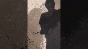 Посадка картофеля Королева Анна..mp4